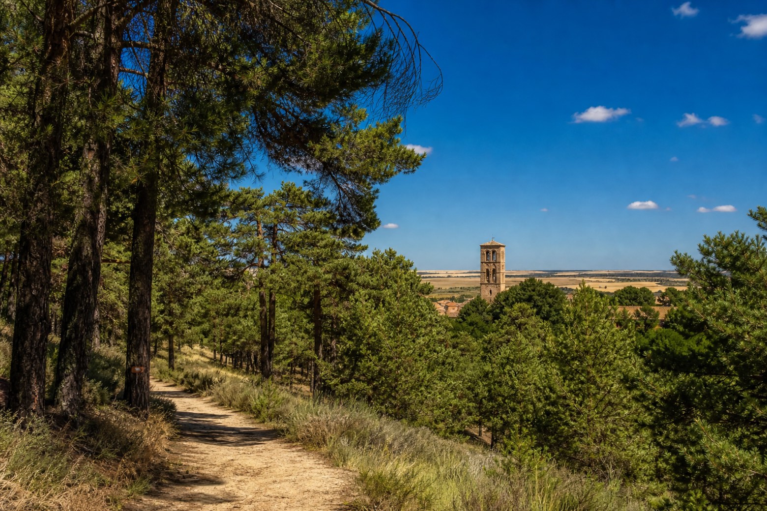 Coca → Alcazarén — Camino de Madrid