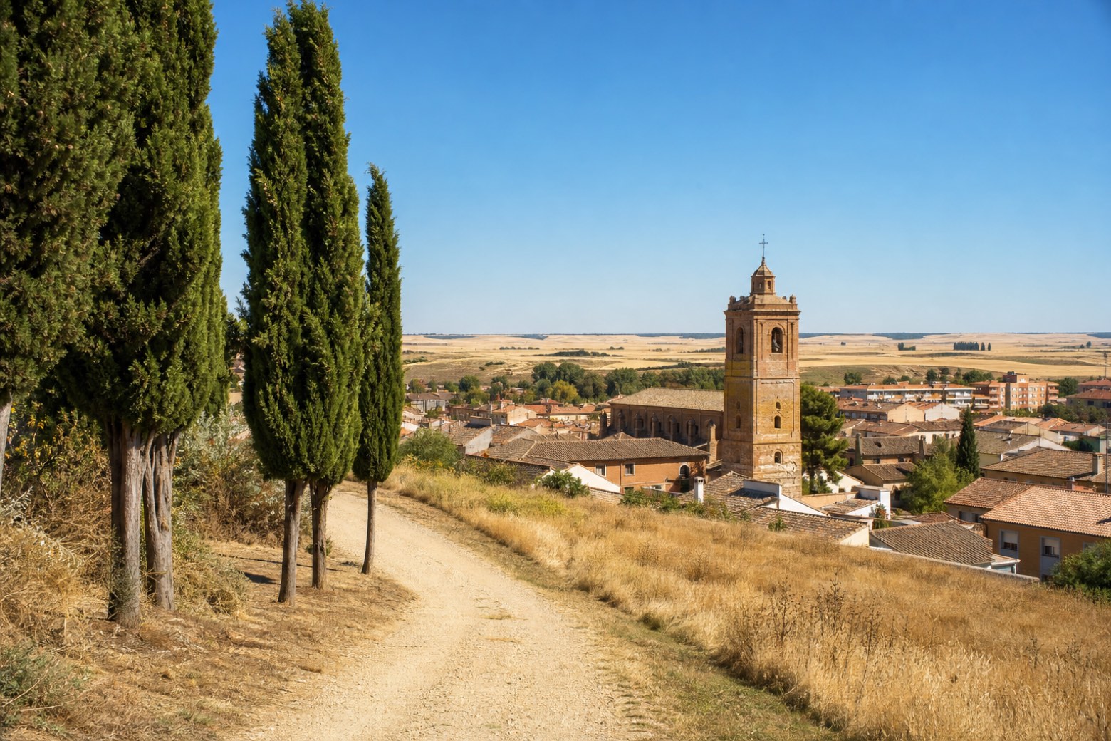 Peñaflor de Hornija → Medina de Rioseco — Camino de Madrid