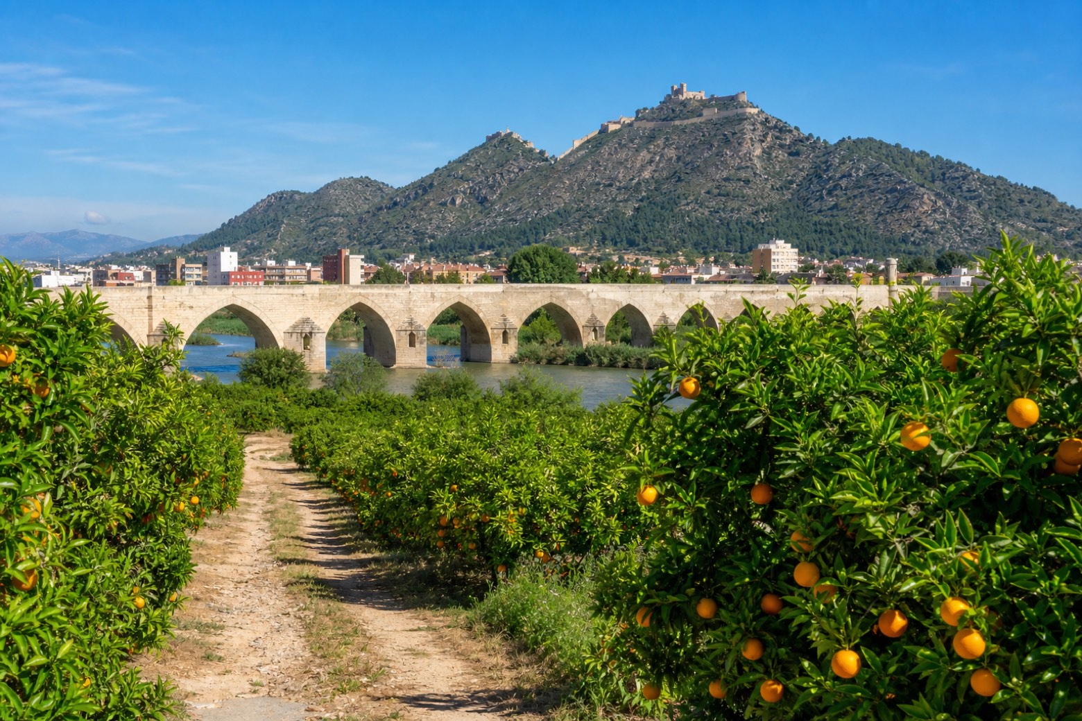 Algemesí → Xàtiva — Camino del Levante