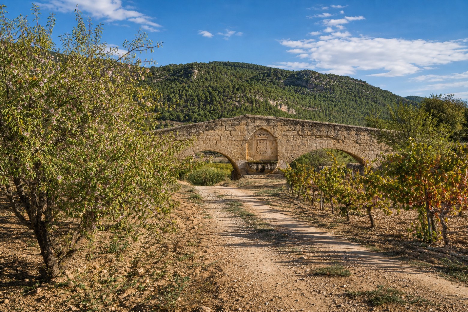 Moixent → La Font de la Figuera — Camino del Levante