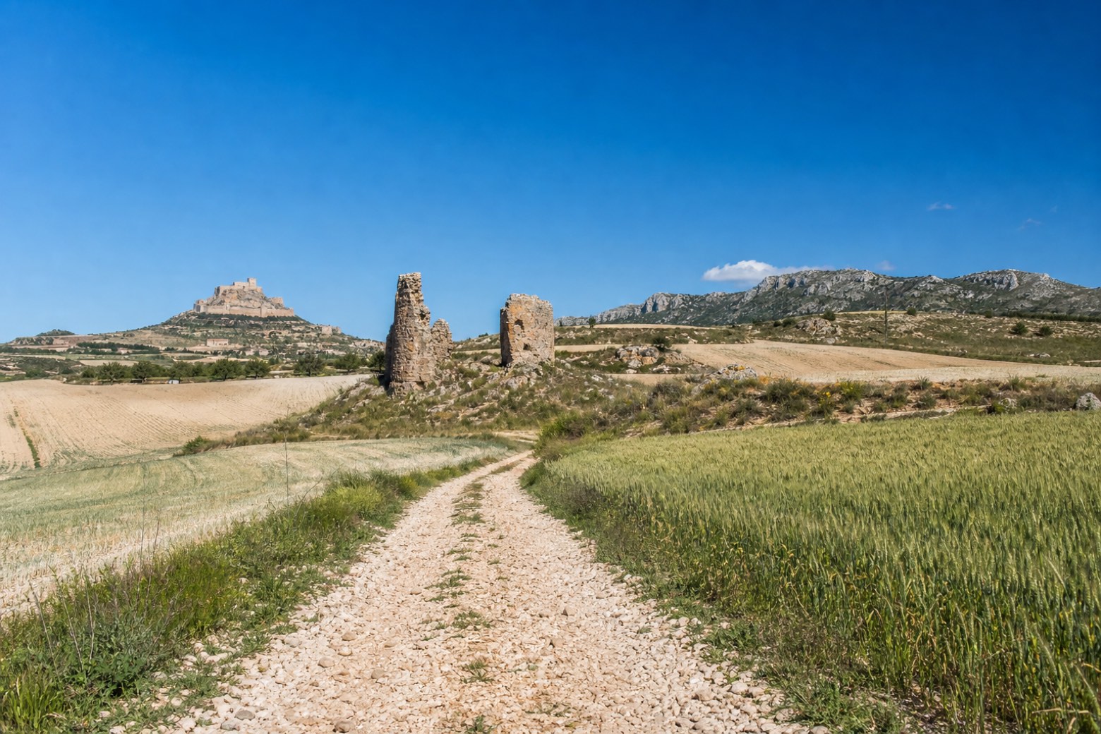 La Font de la Figuera → Almansa — Camino del Levante