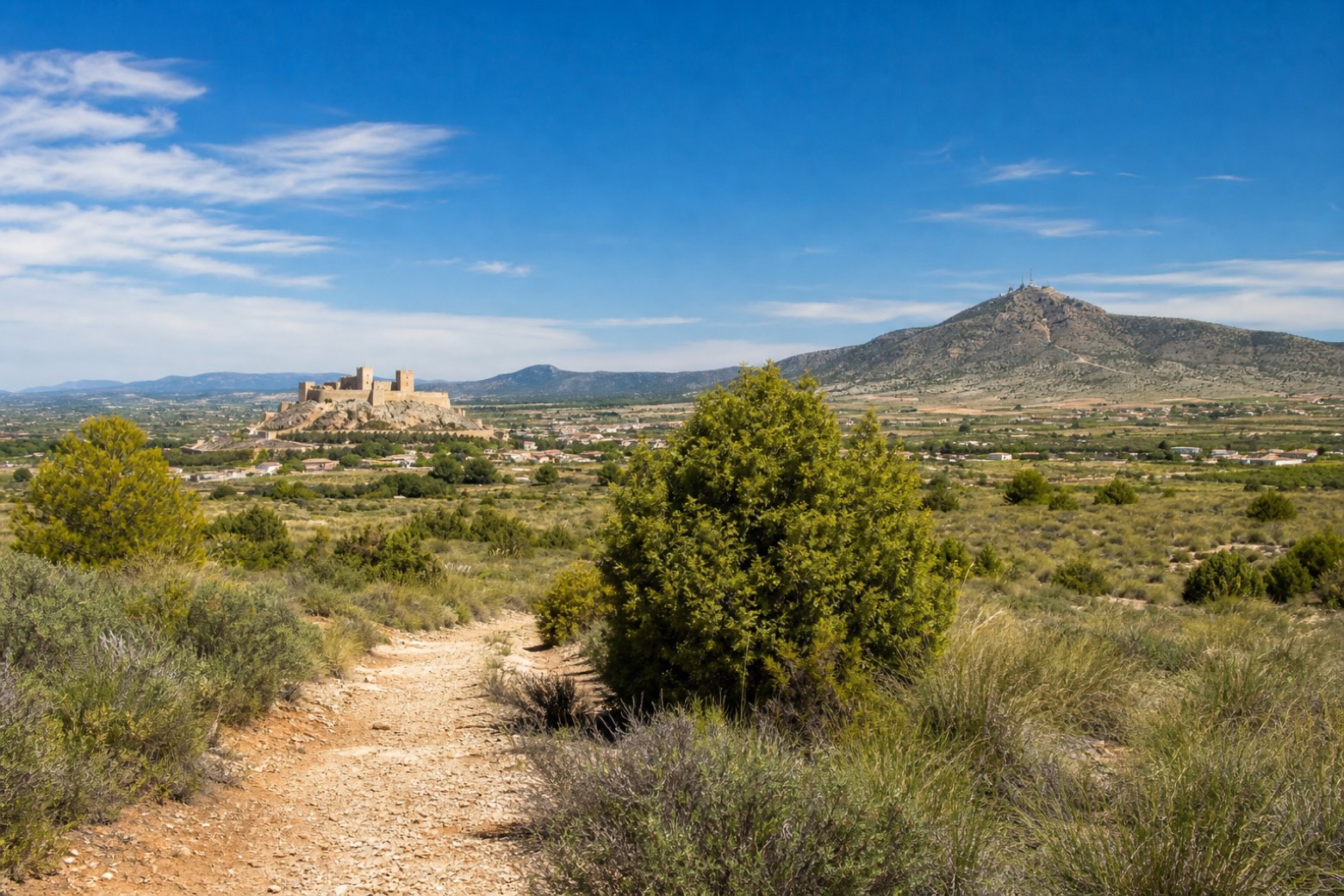 Almansa → Higueruela — Camino del Levante