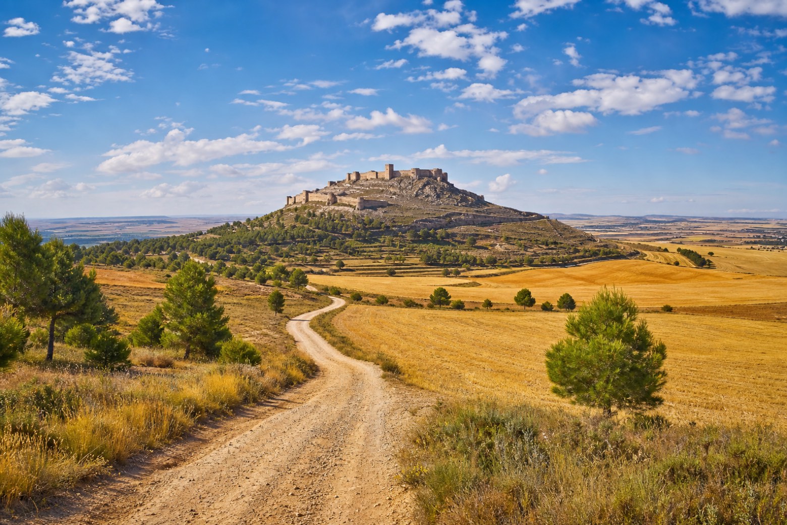 Higueruela → Chinchilla de Montearagón — Camino del Levante