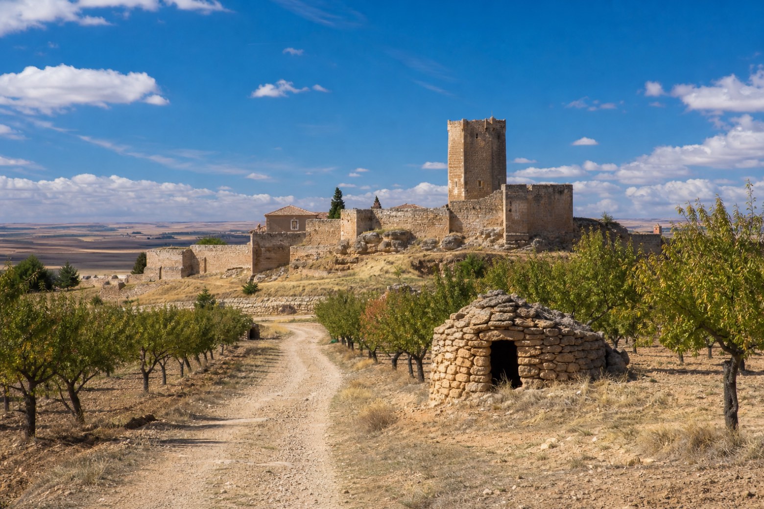 La Roda → San Clemente — Camino del Levante