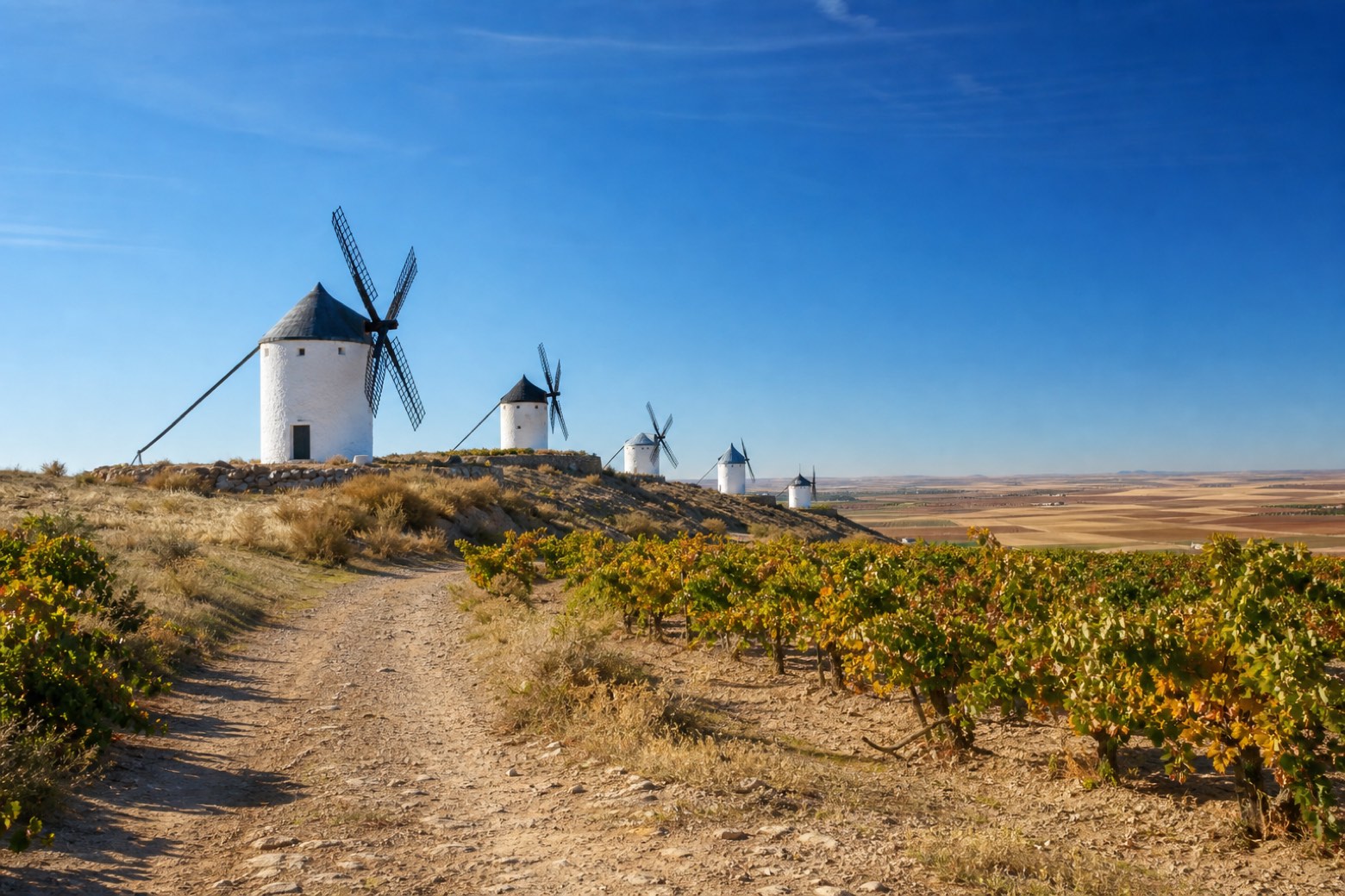 Las Pedroñeras → El Toboso — Camino del Levante