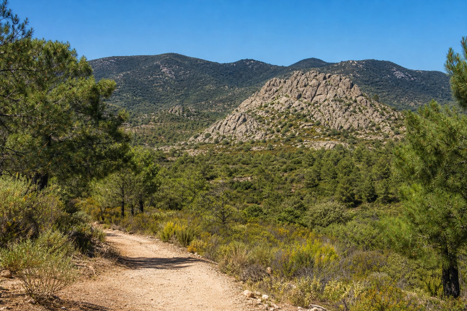 Escalona → San Martín de Valdeiglesias — Camino del Levante
