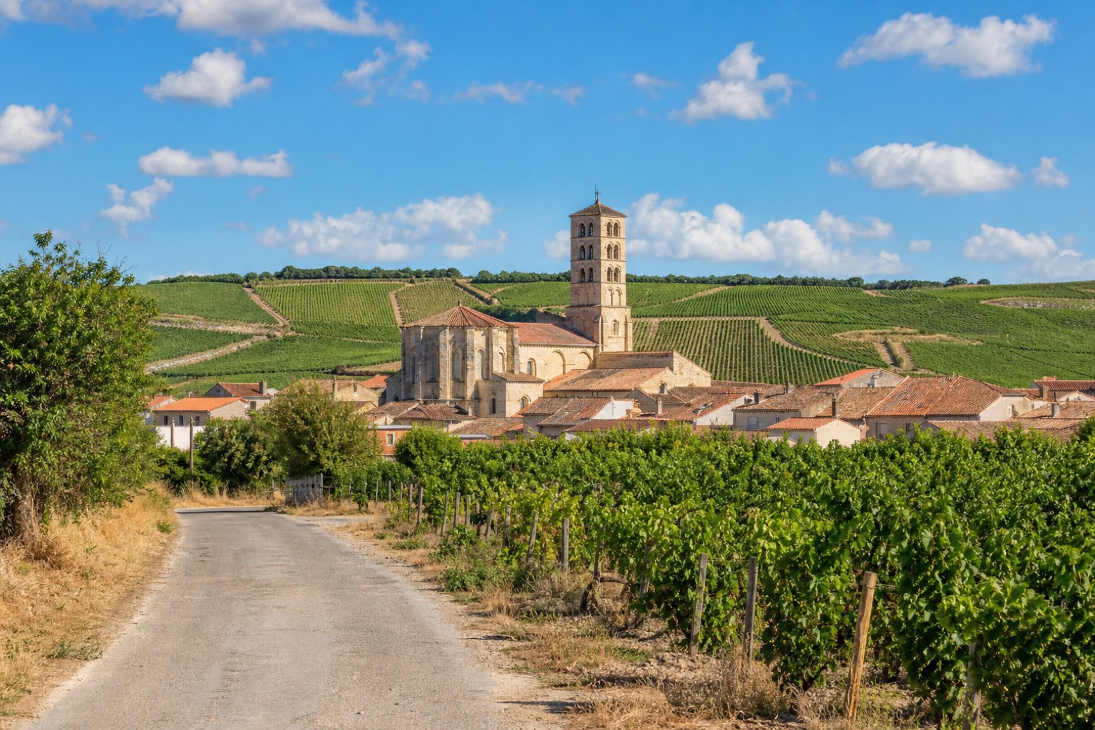Medina del Campo → Siete Iglesias de Trabancos — Camino del Levante
