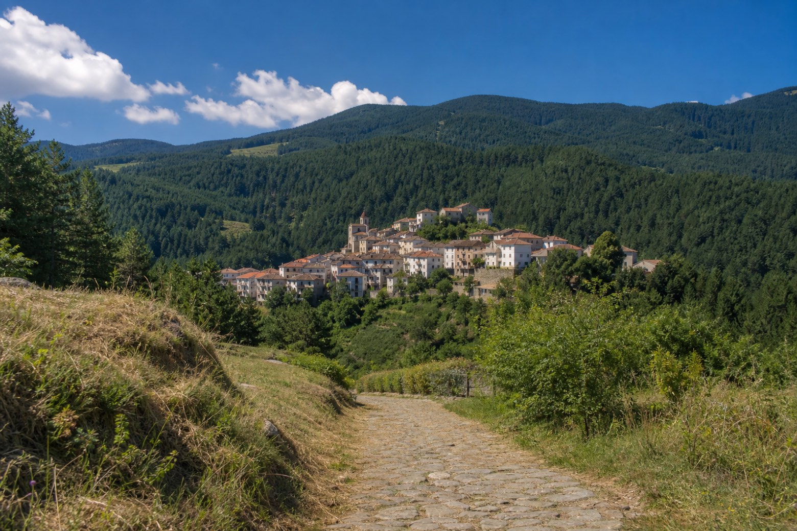Verzino → Savelli (Pino Grande) — Cammino Basiliano