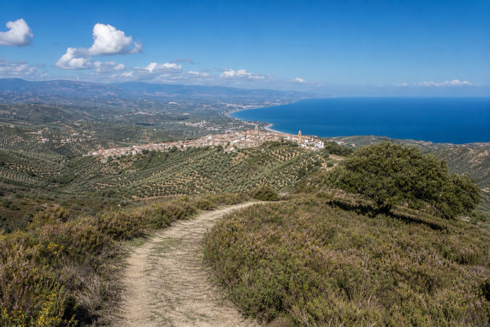 Torre di Ruggiero → Satriano — Cammino Basiliano