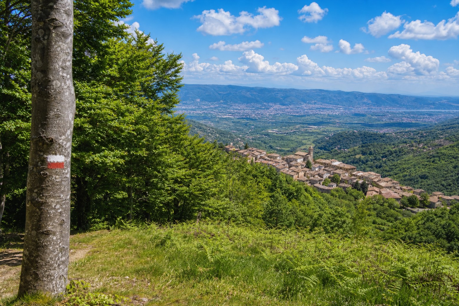 Santuario di Paola → San Fili — Cammino di San Francesco di Paola