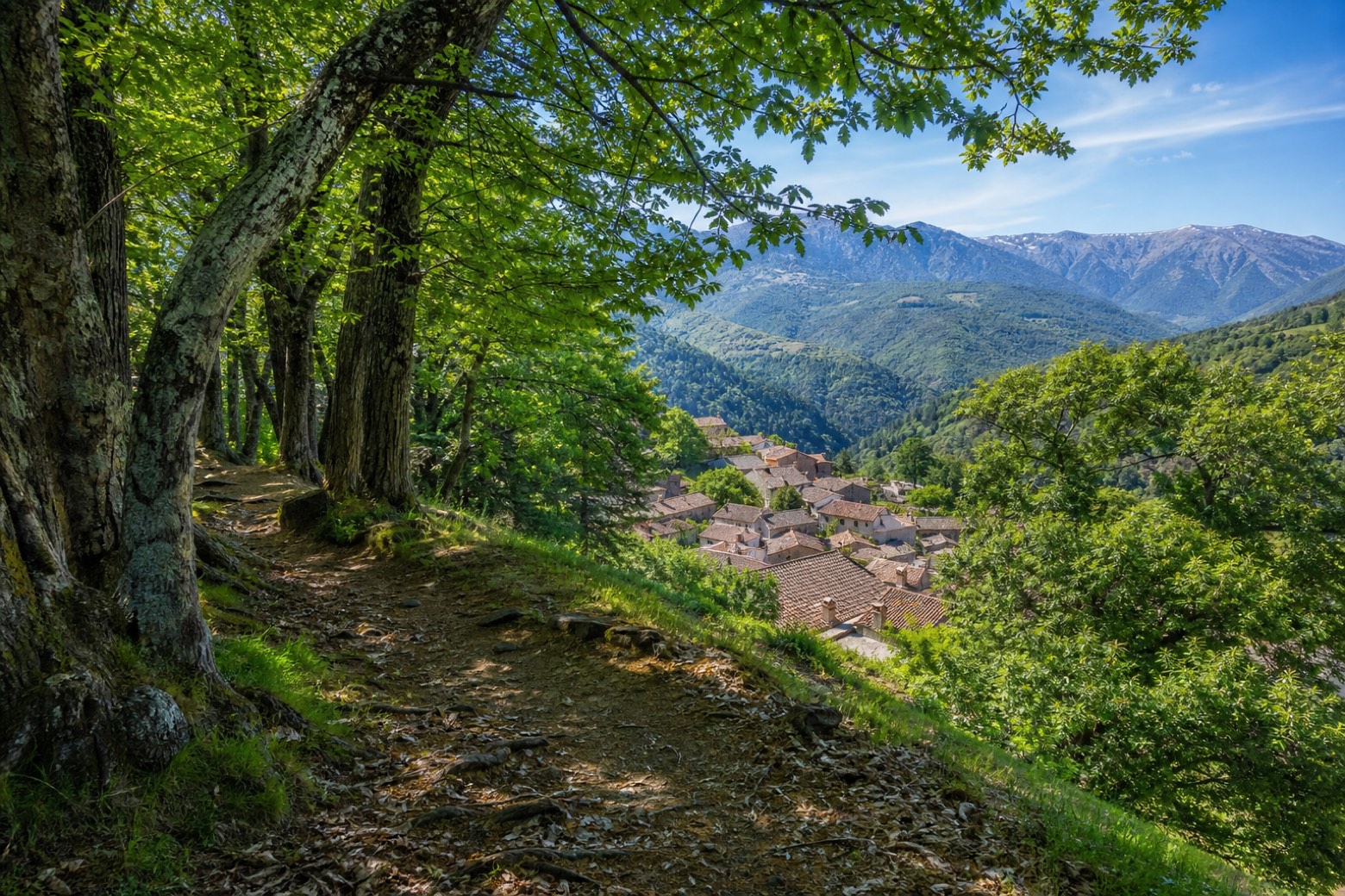 Belvì → Tonara — Cammino di Santu Jacu