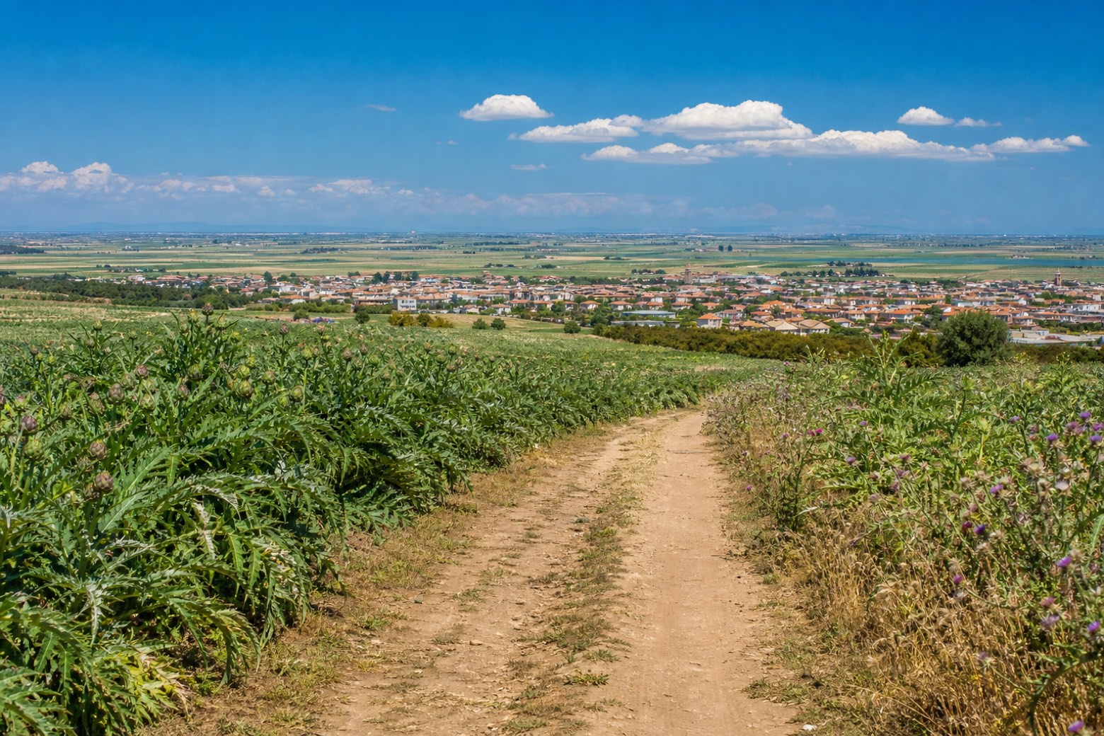 Villasor → Samassi — Cammino Francescano in Sardegna