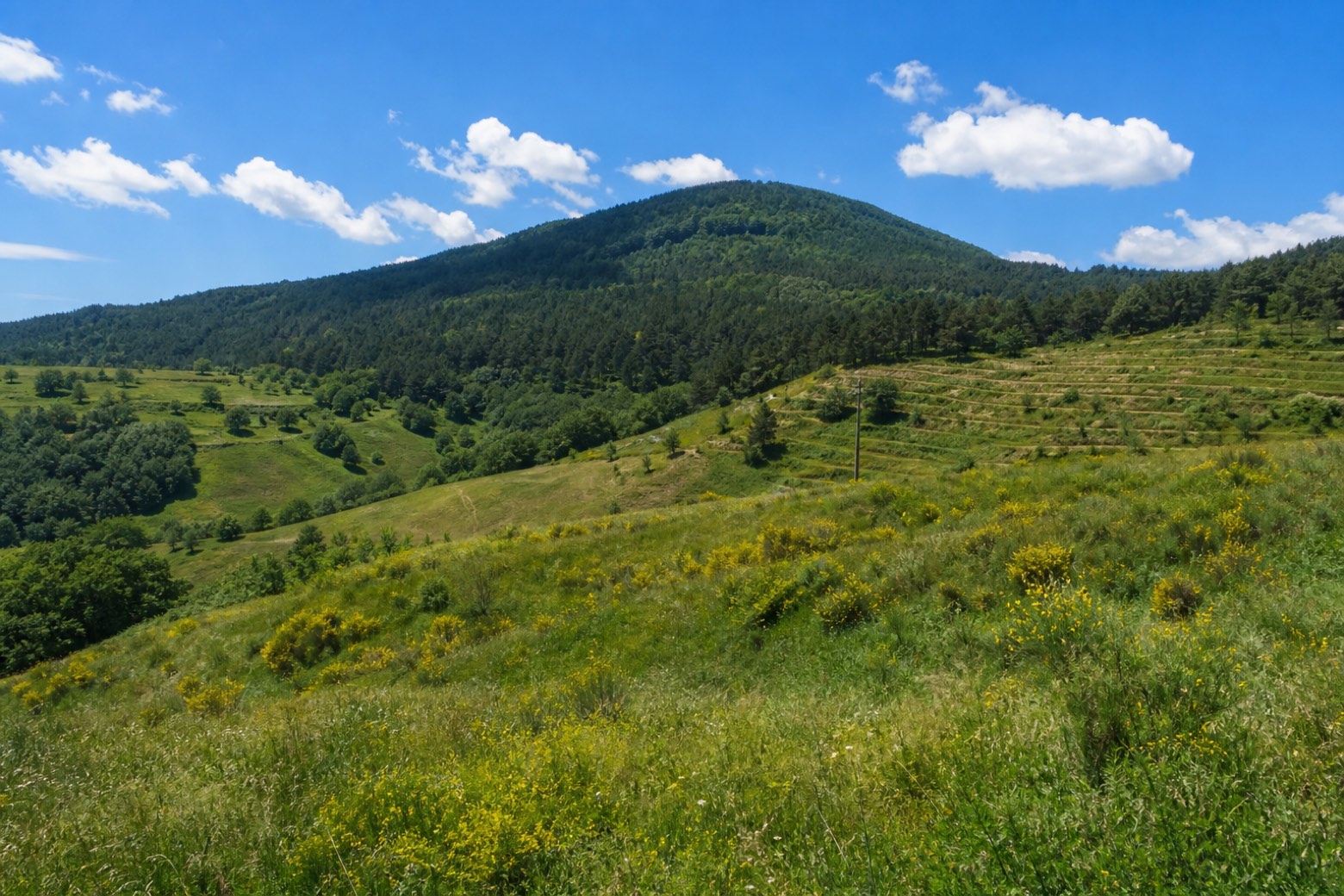 Passo del Mercante → Passo della Limina — Sentiero del Brigante